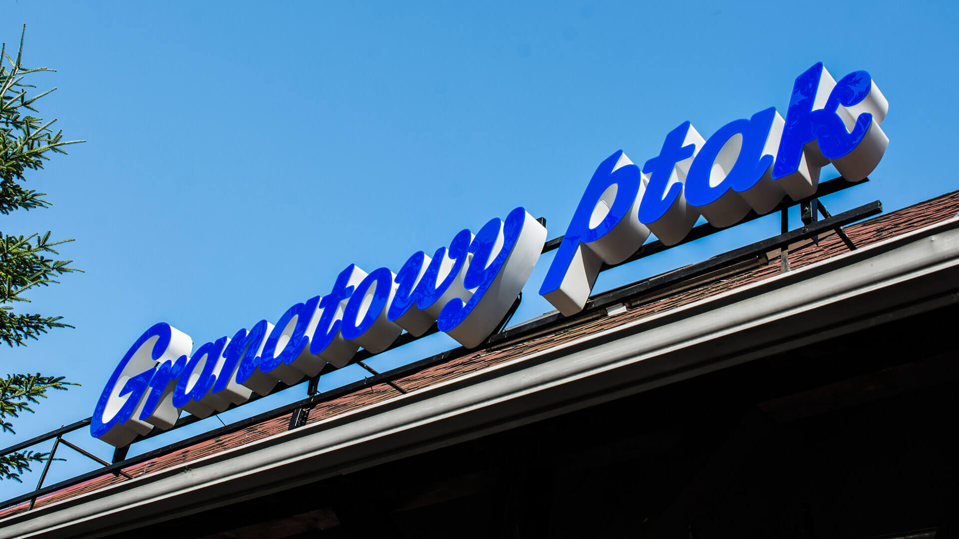 marine oiseau restaurant - letters-from-plexi-blue-blue-bird-letter-on-the-cornice-of-roof lettering-led-lighting-spatial-lettering-blue-lighting 